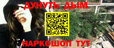 сатива Кунгур