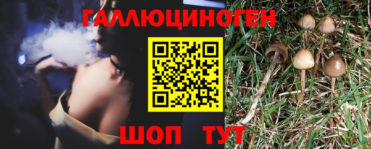 Галлюциногенные грибы Magic Shrooms  Вход с VPN  Казань 